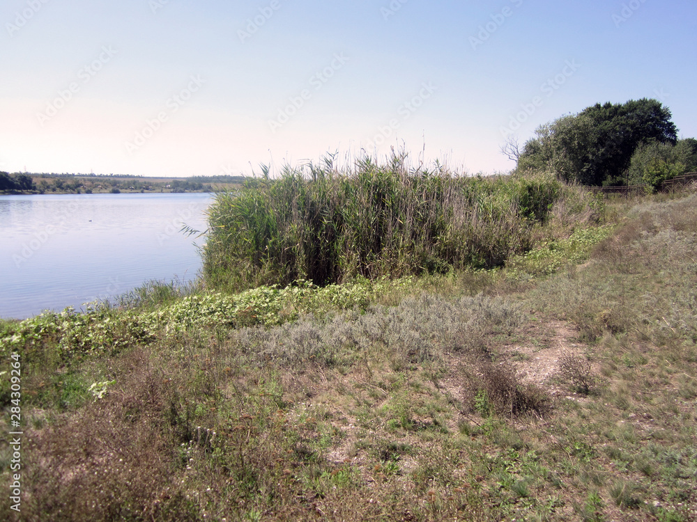 landscape with river