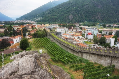 View of the vineyards of the town of Bellinzona from the castle wall of Castelgrande
