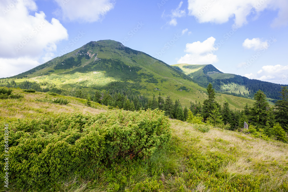 Mount Petros in the Carpathians