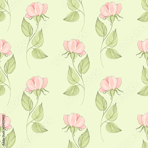 Seamless botanical background of pink roses. Pattern green leaves