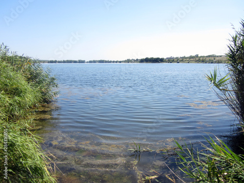 landscape with lake and trees