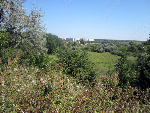 view of the city