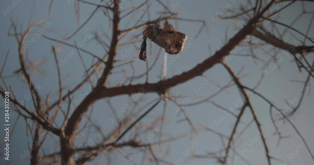 Bottom view of the stone hanging on the tree over blue sky background Bottom view of the stone hanging on the tree over blue sky background
