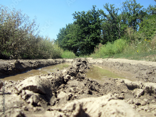 mudy road in the forest