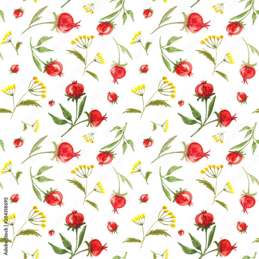Pattern with forest and meadow herbs and fruits of red berries of a dogrose Pattern with forest and meadow herbs and fruits of red berries of a dogrose