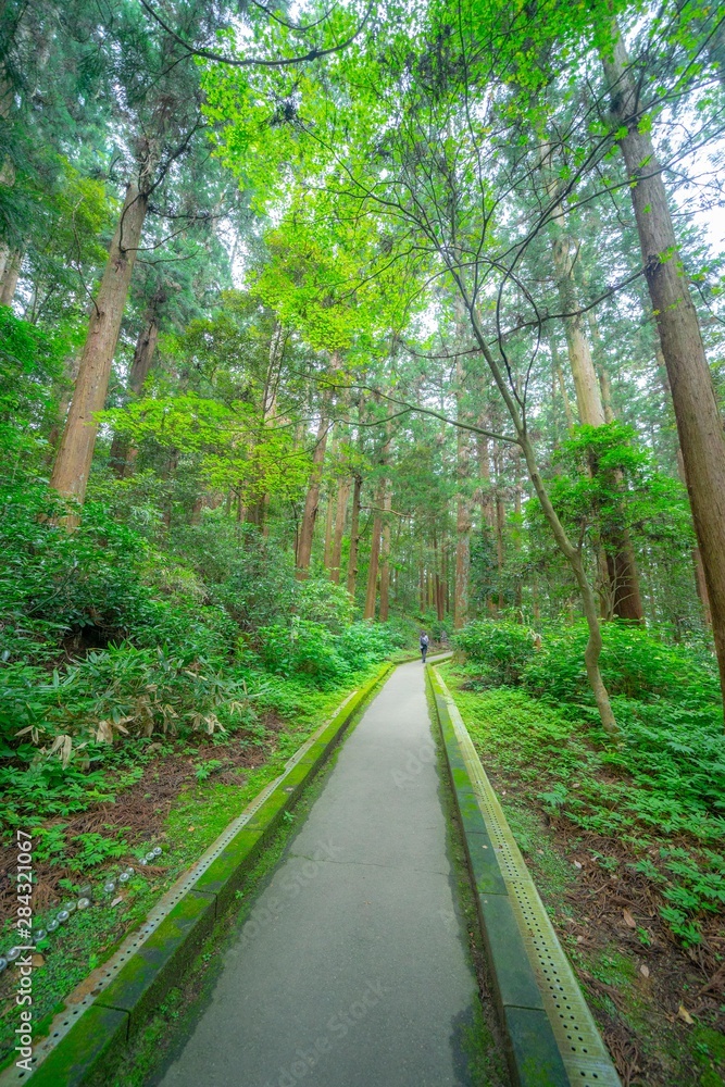 Obraz premium 松島の寺の庭園