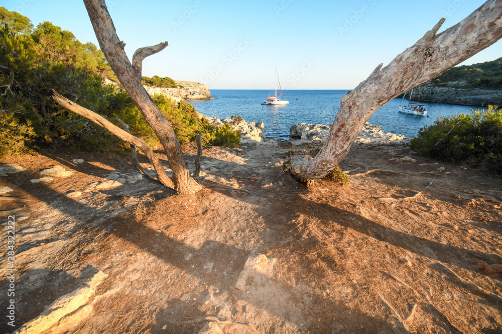 Typical cove of the Balearic Islands, with foreground trees and boats in the background in Menorca Typical cove of the Balearic Islands, with foreground trees and boats in the background in Menorca