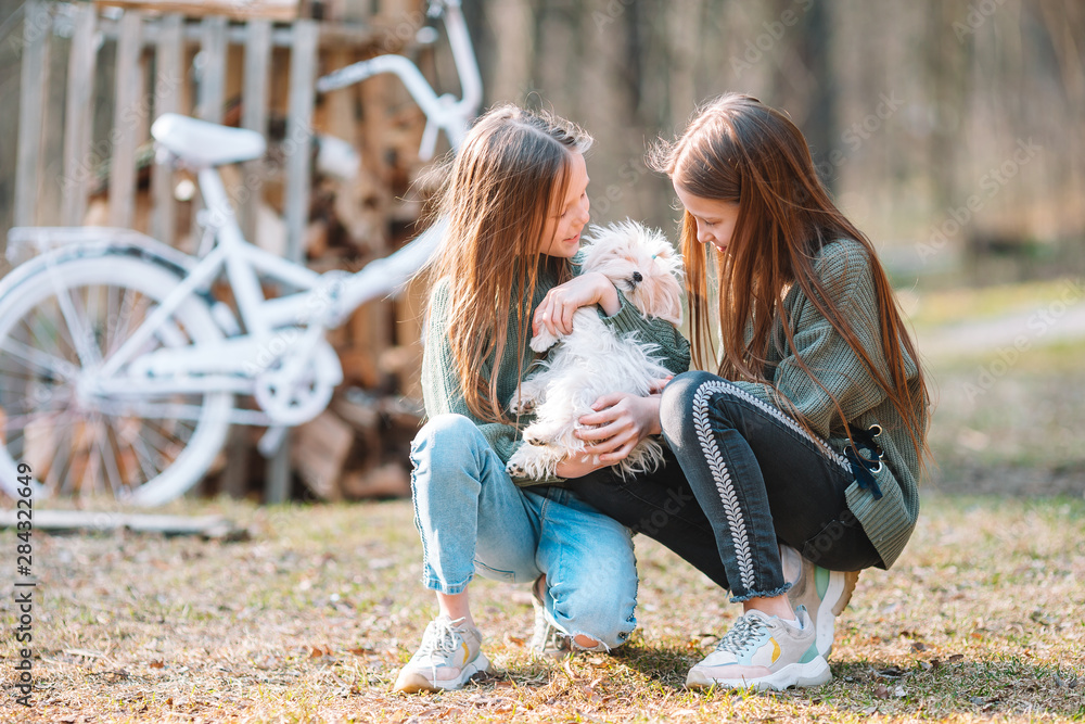 Fototapeta premium Little girls with a white puppy. A puppy in the hands of a girls
