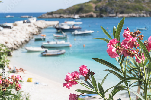 Wallpaper Mural pink flowers bougainvillea on a background of blue sea Torontodigital.ca