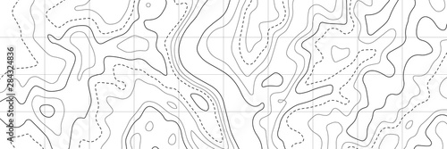 Topographic map. Topographical background. Linear graphics. Vector illustration.