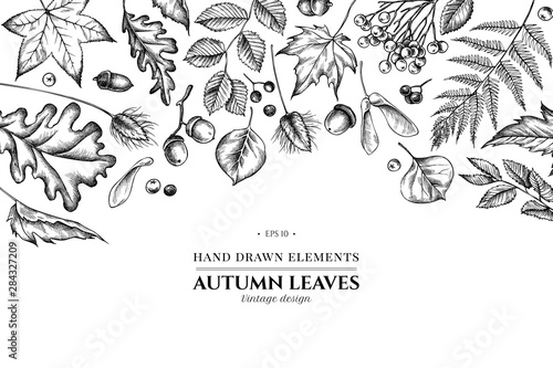 Floral design with black and white rowan, rowan, acorn, buckeye, fern, maple, birch, maple leaves, lagurus