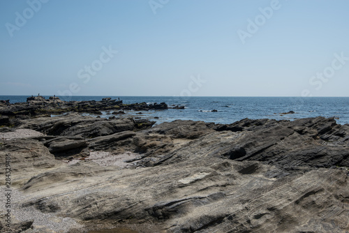 城ヶ島 岩石海岸 © Taro