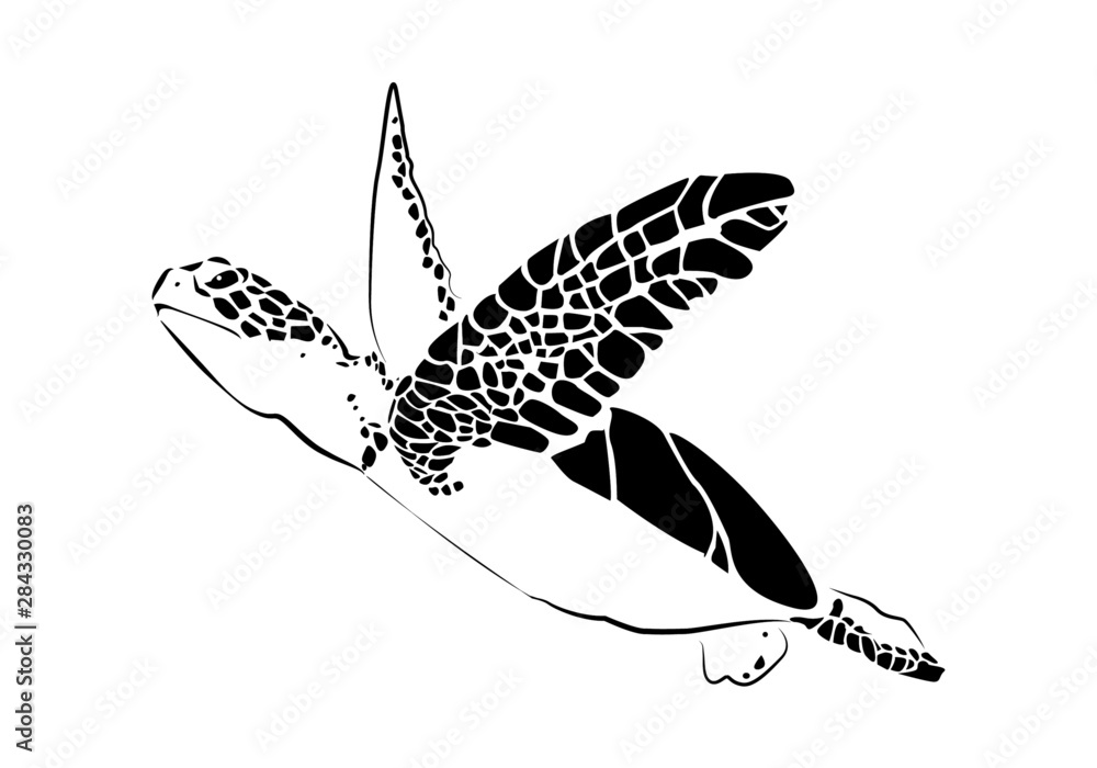 graphic sea turtle,vector illustration of sea turtle Stock Vector ...