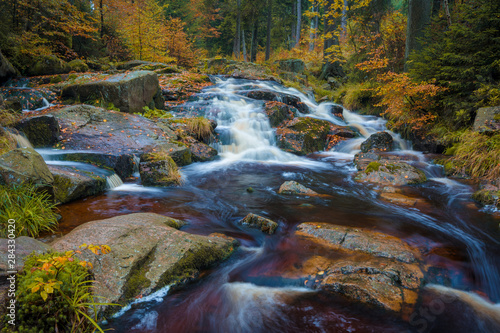 Bach im Wald im Harz an einem Tag im Herbst