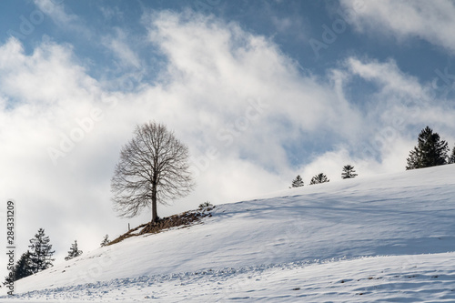 Winter in Trub Dorf im tiefverschneiten Emmental © schame87