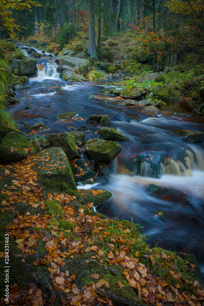 Bach im Wald im Harz an einem Tag im Herbst