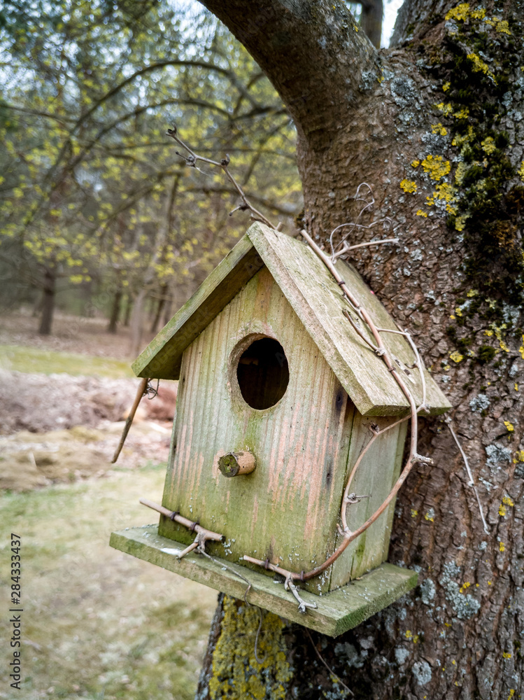 Bird house Bird house