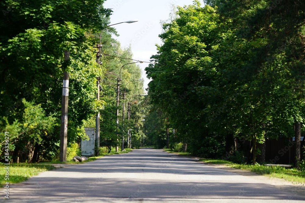 Leere, von grünen Bäumen gesäumte Straße im Dorf Pessotschni bei Sankt Petersburg