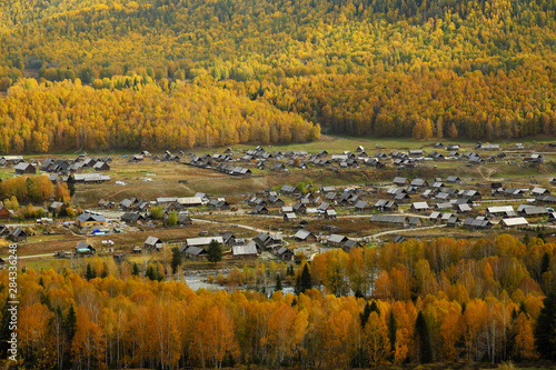 Hemu village in colorful autumn in morning golden light, Xinjiang, China photo