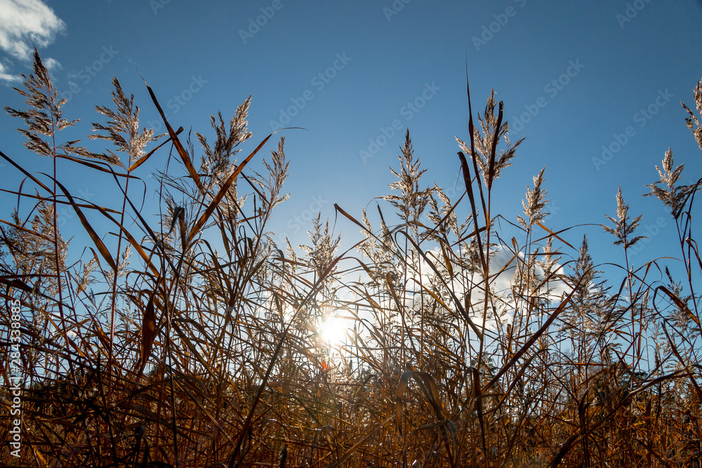 Obraz premium Autumn between villages nature and water in Scandinavia