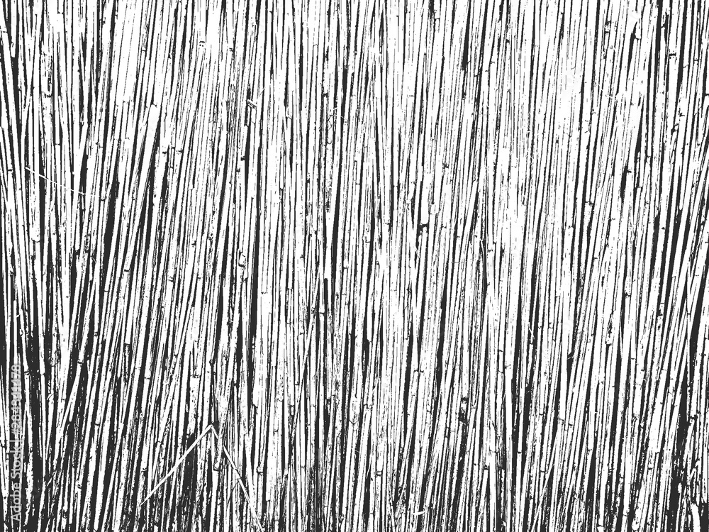Distress old dry wooden texture. Black and white grunge background. Vector illustration Distress old dry wooden texture. Black and white grunge background. Vector illustration