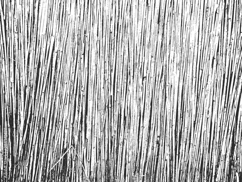 Distress old dry wooden texture. Black and white grunge background. Vector illustration