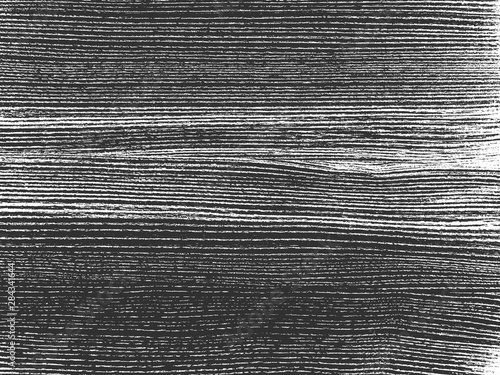 Distress old dry wooden texture. Black and white grunge background. Vector illustration