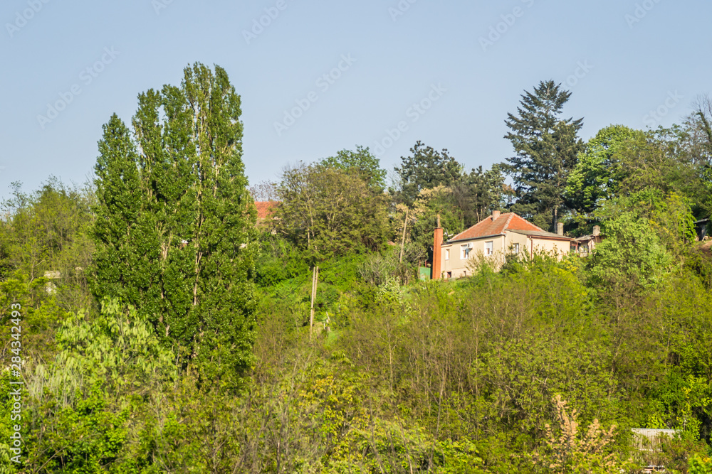 Obraz premium Lonely house in the woods on the hill
