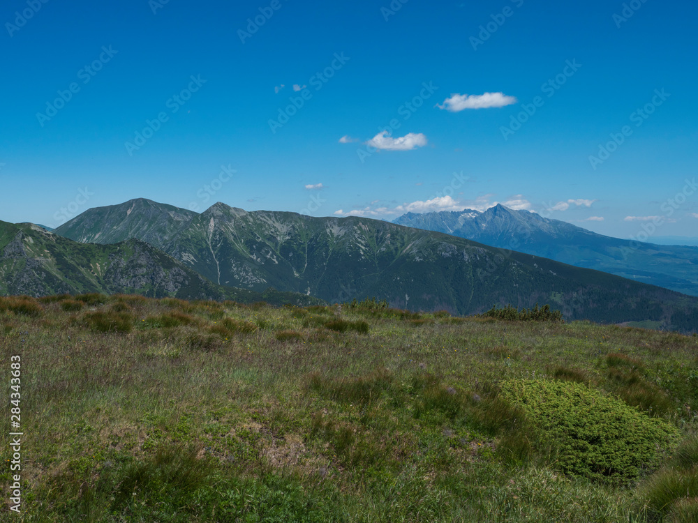 Beautiful mountain landscape of Western Tatra mountains or Rohace with hiking trail on ridge. Sharp green grassy rocky mountain peaks with scrub pine and alpine flower meadow. Summer blue sky