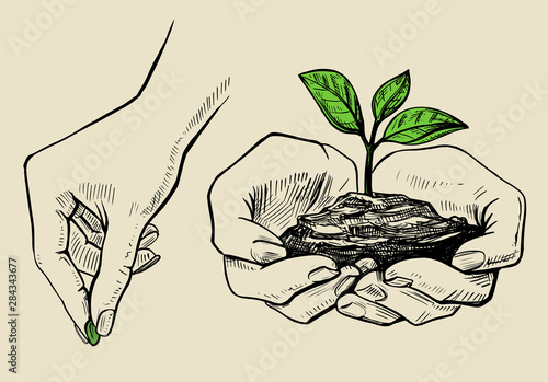 the plant in the hands grows