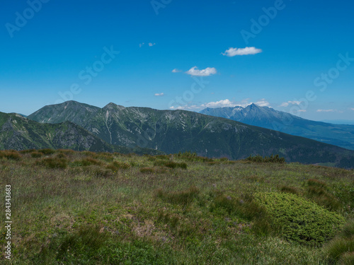 Beautiful mountain landscape of Western Tatra mountains or Rohace with hiking trail on ridge. Sharp green grassy rocky mountain peaks with scrub pine and alpine flower meadow. Summer blue sky © Kristyna