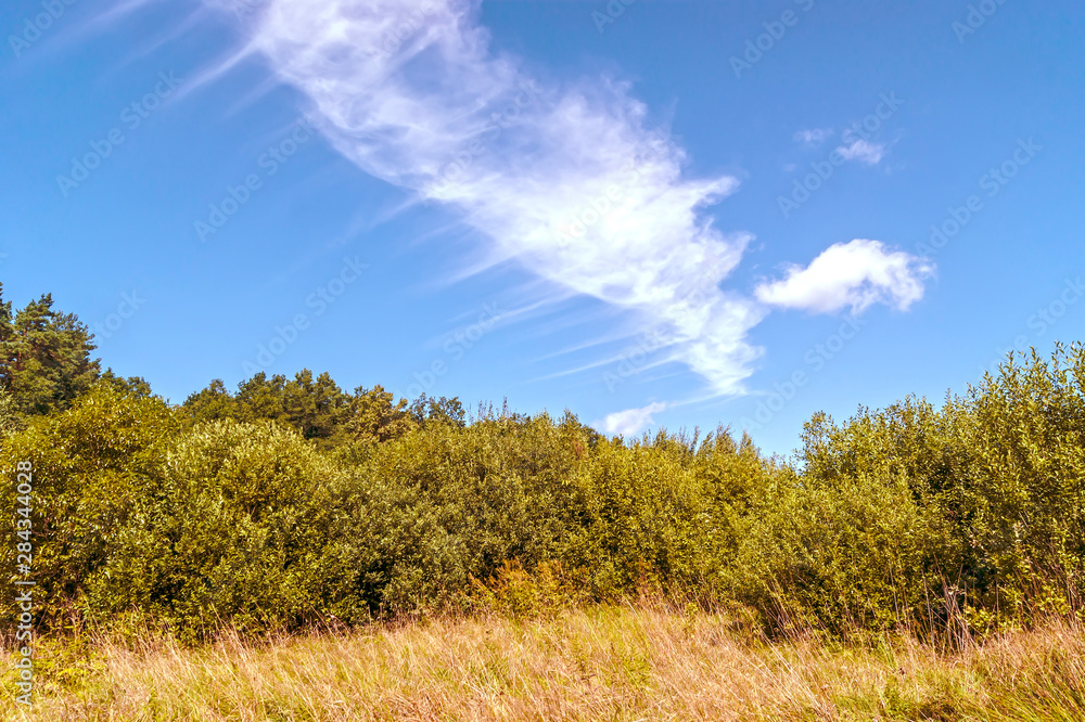 Last month of summer, grass, trees and blue sky with white clouds Last month of summer, grass, trees and blue sky with white clouds