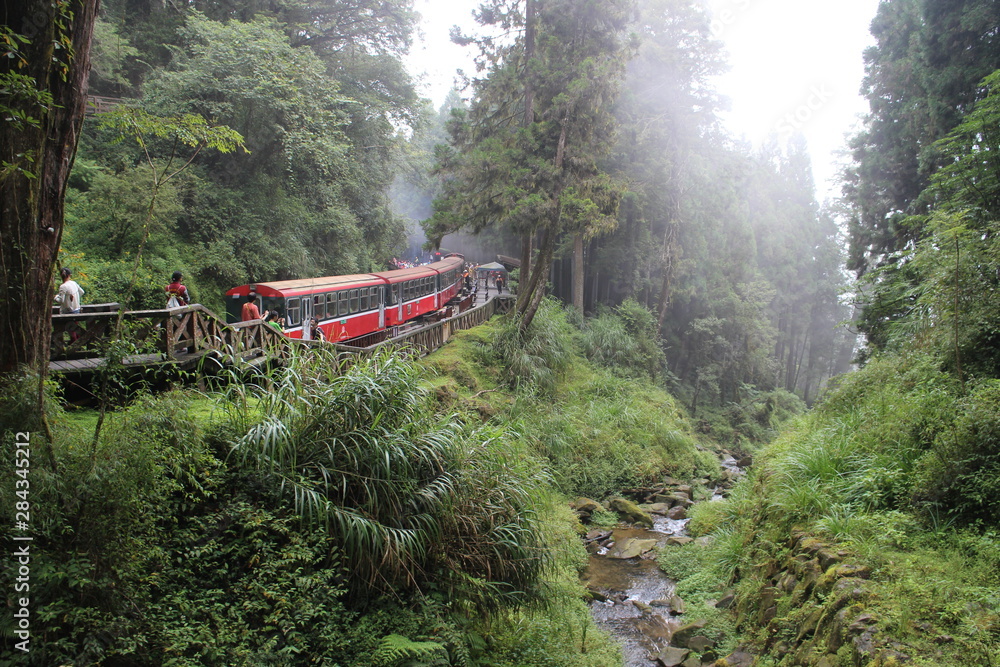 Fototapeta premium train in the mountains 대만 기차 여행