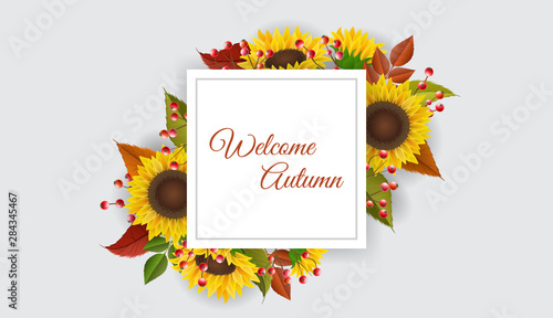 Square frame with colorful autumn plants, leaves, red berry branch and yellow sunflower. Vector illustration for fall season background, autumn template or other modern design