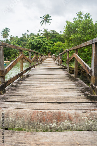 Badly maintained bridge  repaired with coconut tree trunks on Itamaraca Island  Brazil