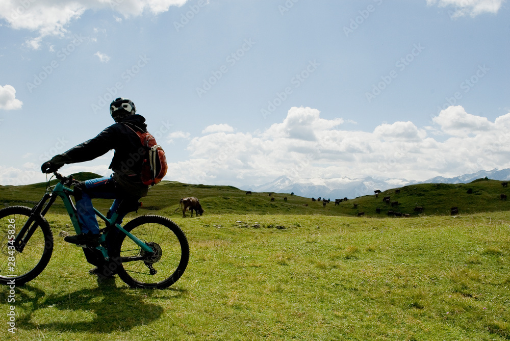 man with an electric bike, e-bike, ebike, observes mountains of Dolomites, Madonna di Campiglio, meadow, pasture, herd of cows grazing, summer, sport, travel, Alps, Trentino, Alto Adige, Italy