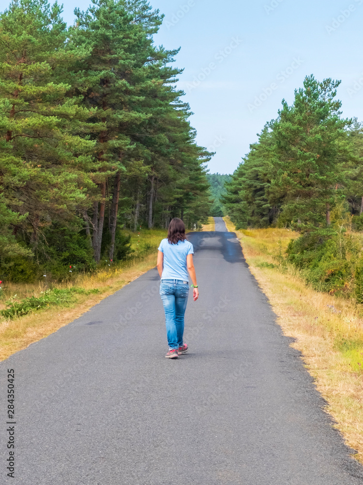 Fototapeta premium Rear view of a woman in jeans walking on road in a forest