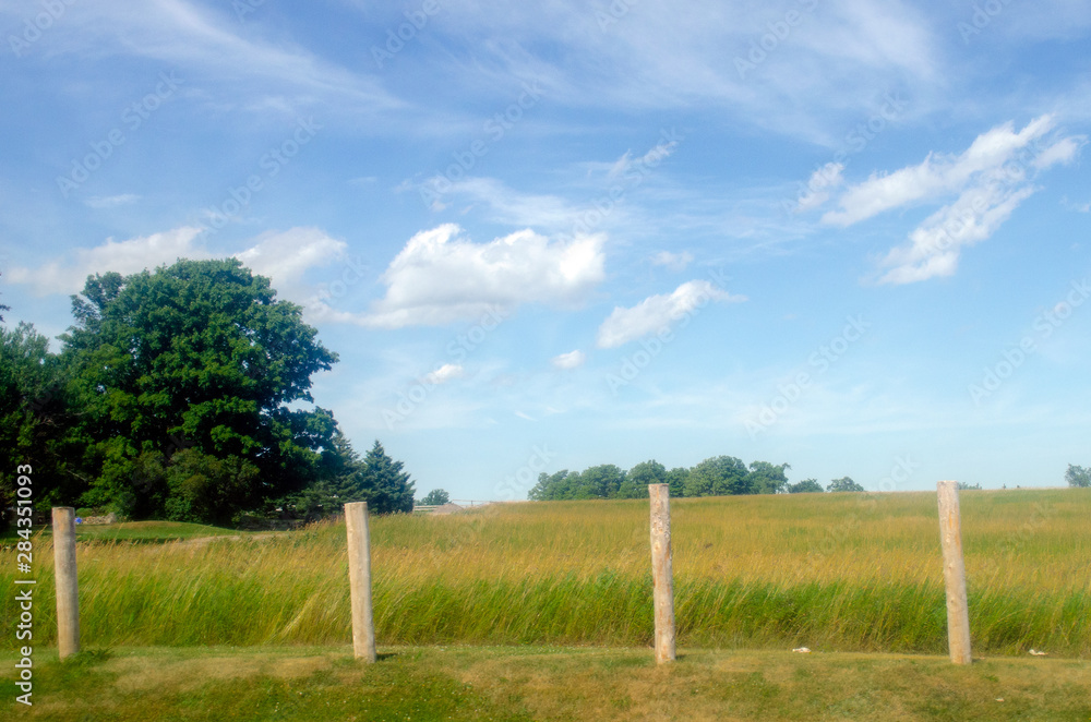 Blue Sky and Field With Wooden Farming Stakes Blue Sky and Field With Wooden Farming Stakes