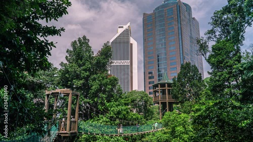 Wallpaper Mural Tree Top Canopy Walk in Kuala Lumpur Malaysia Time Lapse Torontodigital.ca