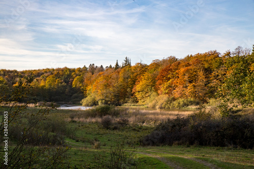 Herbstwald