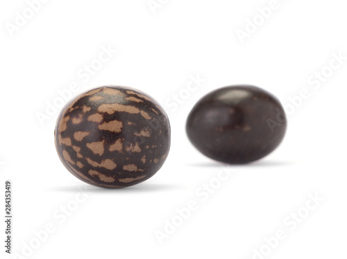 Two brown spotted beads. Isolated on white background. Close-up.