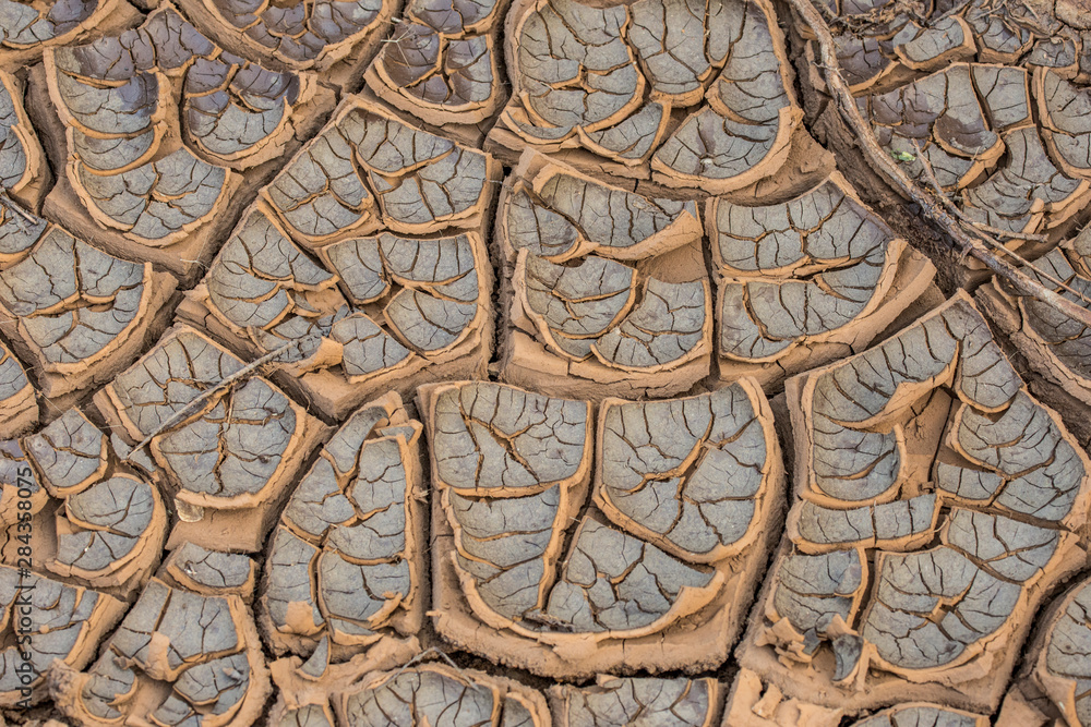East Africa, Kenya, Nairobi, Langata, Hog Ranch, cracked, dry earth East Africa, Kenya, Nairobi, Langata, Hog Ranch, cracked, dry earth