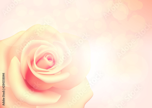 Pink rose on a pink background with bokeh. Vector.