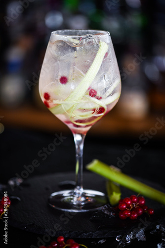 tonic gin cocktail with fresh rhubarb & red berries