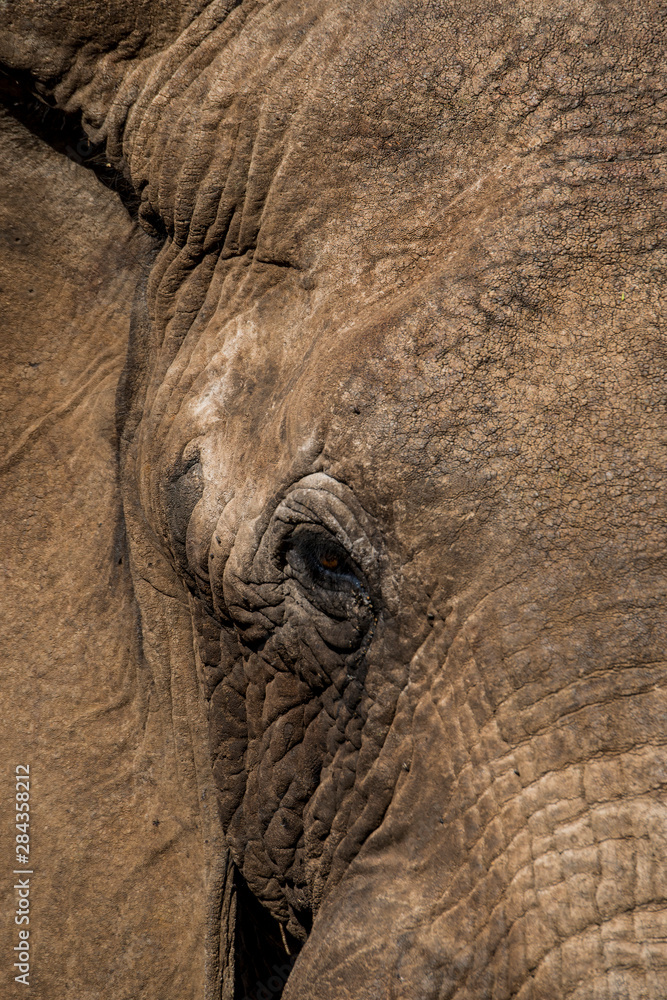East Africa, Kenya, Chyulu Hills, Old Donyo Wuas Lodge, Mbirikani