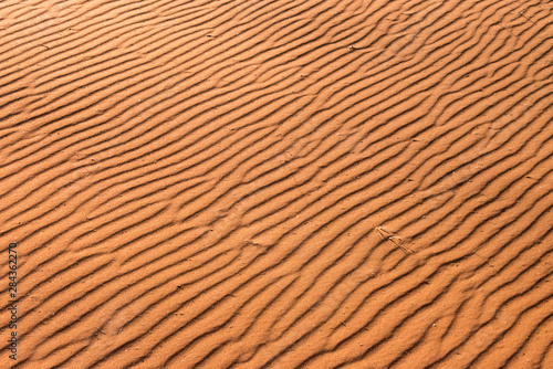 Red sand desert pattern, Kalahari Desert. Hardap Region, Namibia.