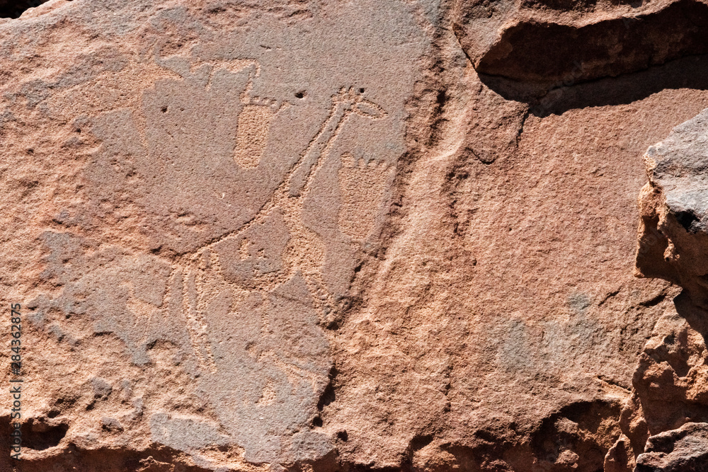 Fototapeta premium Bushman engravings at Twyfelfontein, UNESCO World Heritage Site. Damaraland, Kuene Region, Namibia.