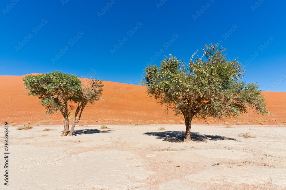 Dead Vlei, Sossusvlei, Namib Desert, Namib Naukluft Park, Namibia. Dead Vlei, Sossusvlei, Namib Desert, Namib Naukluft Park, Namibia.