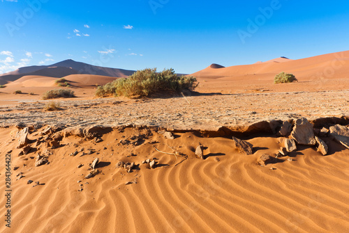 View of dunes, Sossusvlei, Namib Desert, Namib Naukluft Park, Namibia. © Nico Tondini/Danita Delimont