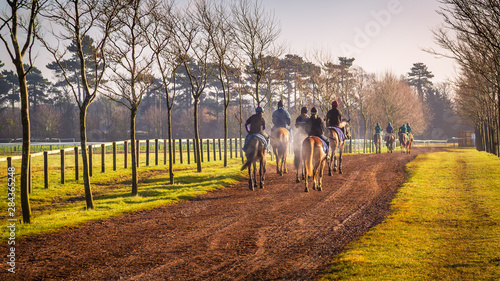 Farm Canter Winter Scene Newmarket photo